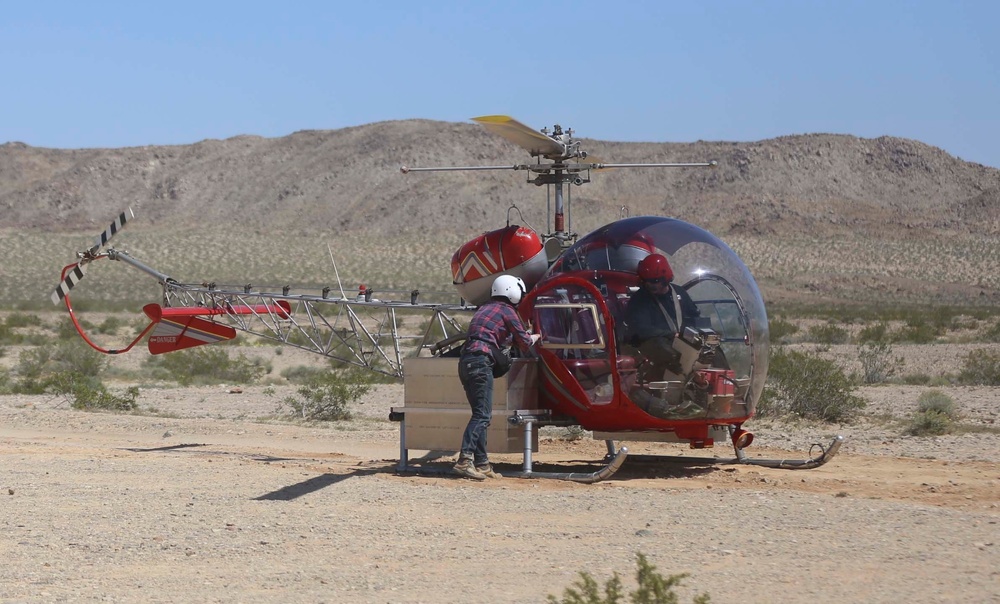 Combat Center conducts desert tortoise translocation