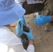 Combat Center conducts desert tortoise translocation