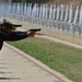 Marine Corps Marksmanship Competition