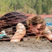 Rugged Terrain Obstacle Run at Grafenwoehr