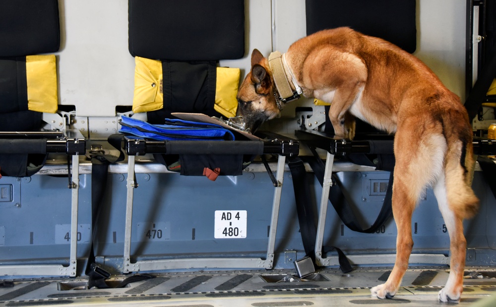 Detection training takes K-9 skills to new heights
