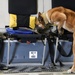 Detection training takes K-9 skills to new heights