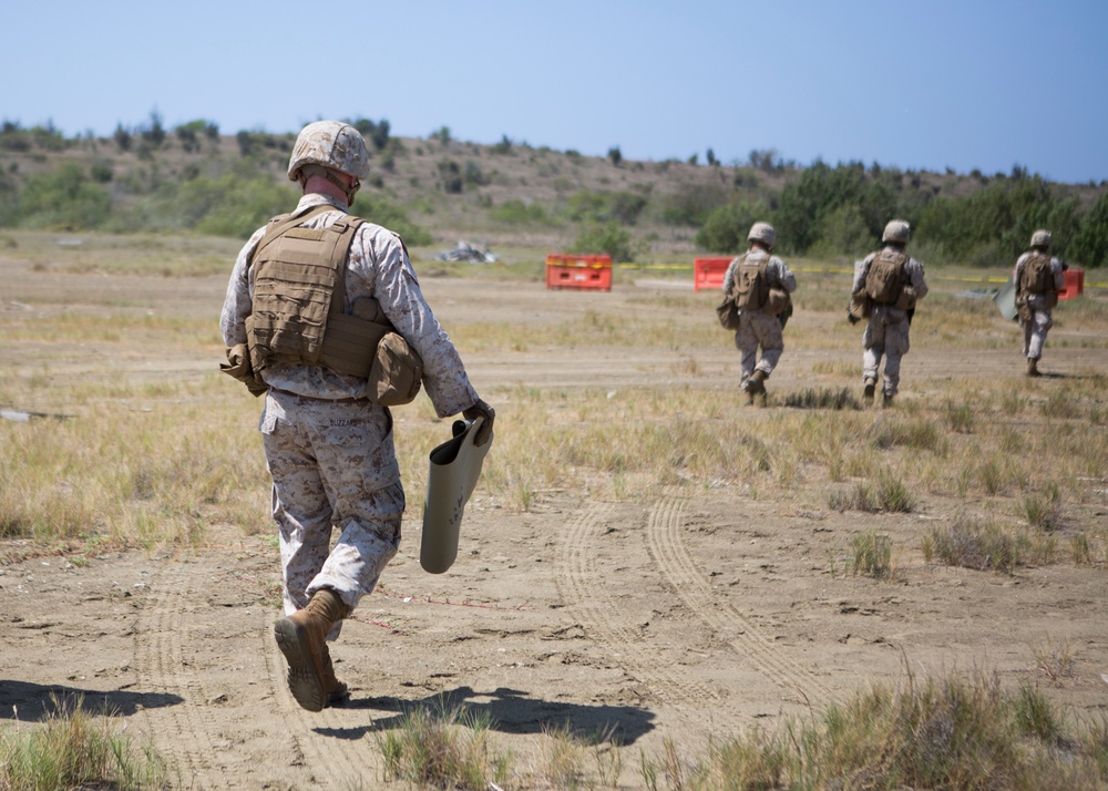 Continental U.S. Based Alert Force Operations in Cuba