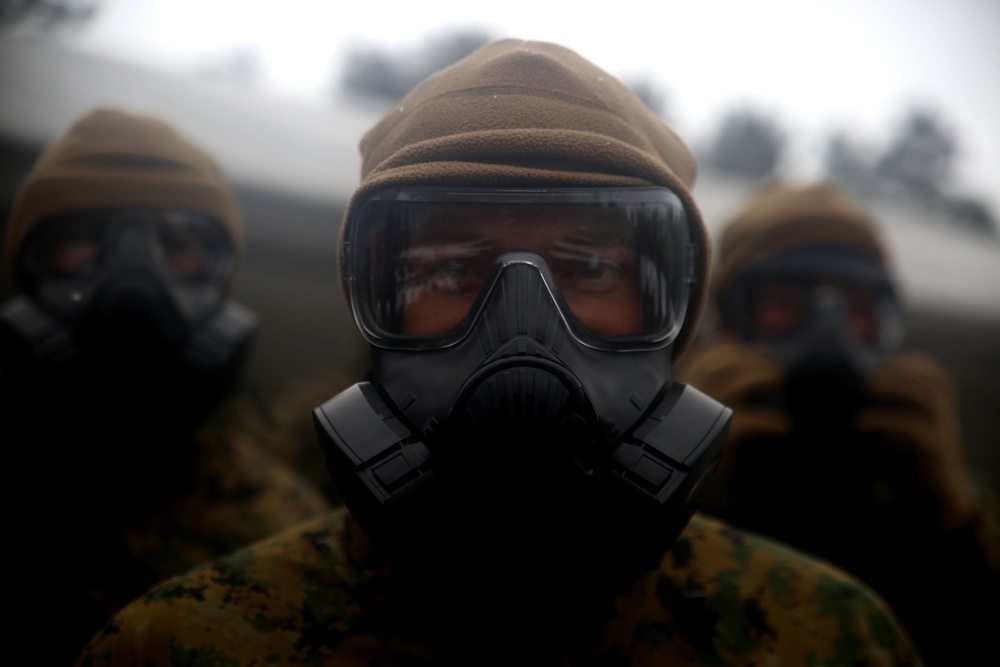 Summer Shield: BSRF Marines train in M50 gas mask