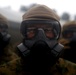 Summer Shield: BSRF Marines train in M50 gas mask