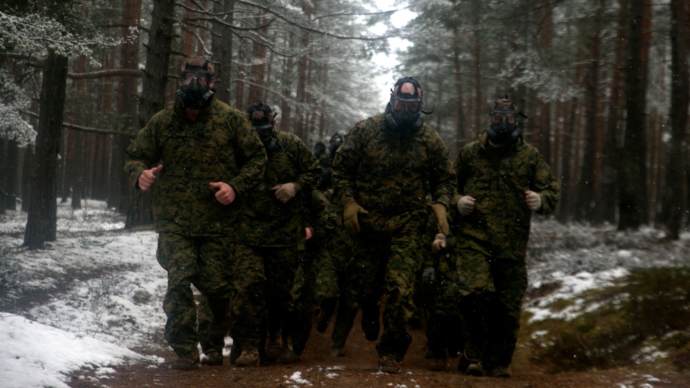Summer Shield: BSRF Marines train in M50 gas mask