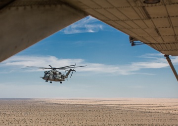 WTI Section Landing Drills with the 'Wolfpack'