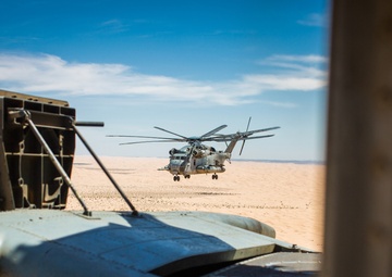 WTI Section Landing Drills with the 'Wolfpack'