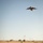 WTI 2-17 Globemaster III