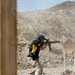 Action Shooting Soldier Competes in Nevada
