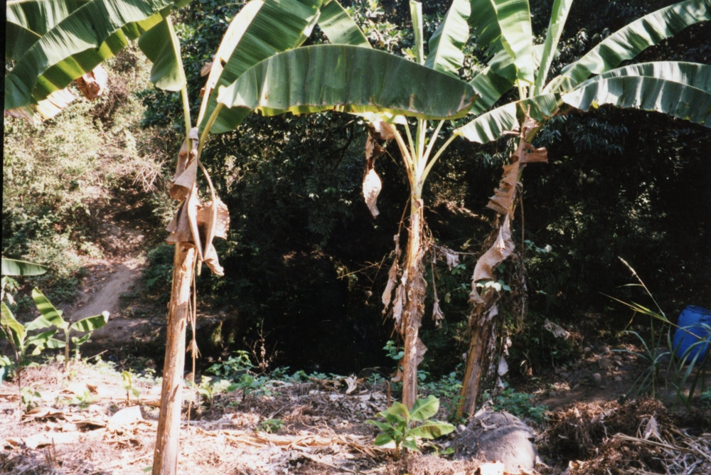 1999 INDONESIA PHOTOS