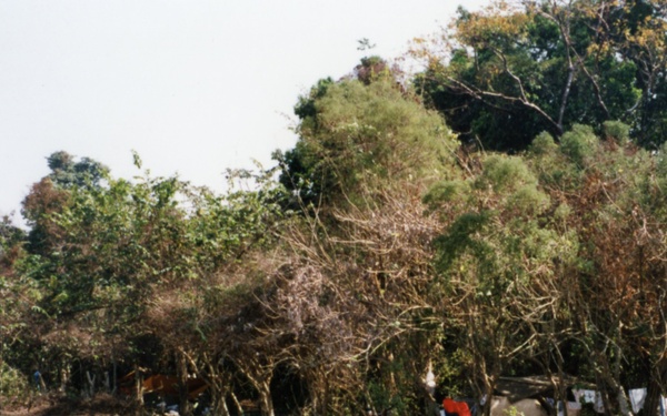 1999 INDONESIA PHOTOS