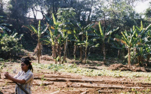 1999 INDONESIA PHOTOS