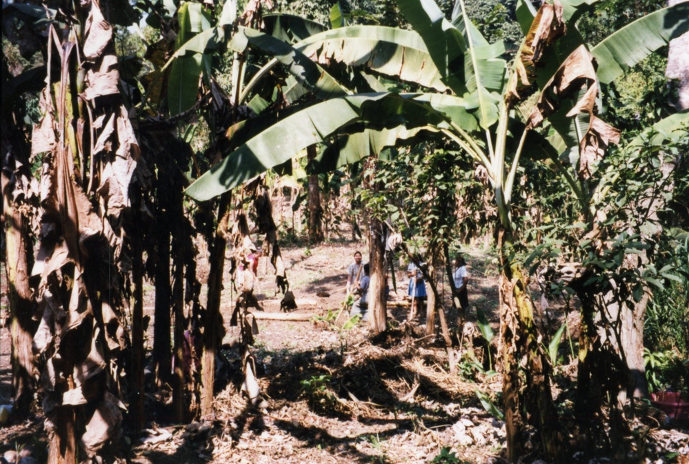 1999 INDONESIA PHOTOS