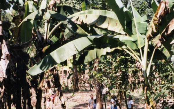 1999 INDONESIA PHOTOS