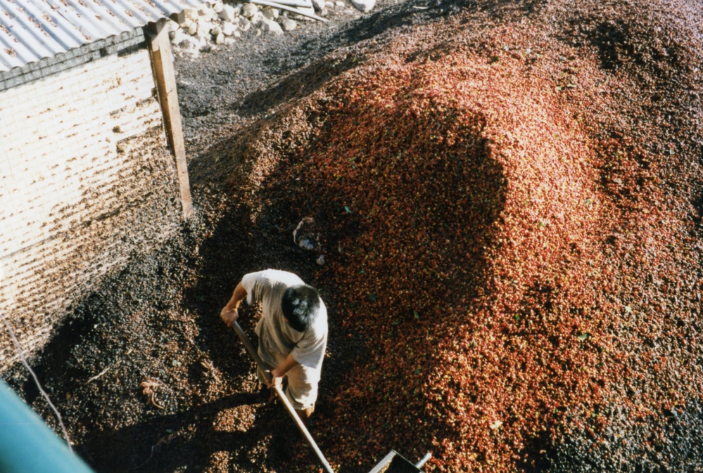 1999 INDONESIA PHOTOS