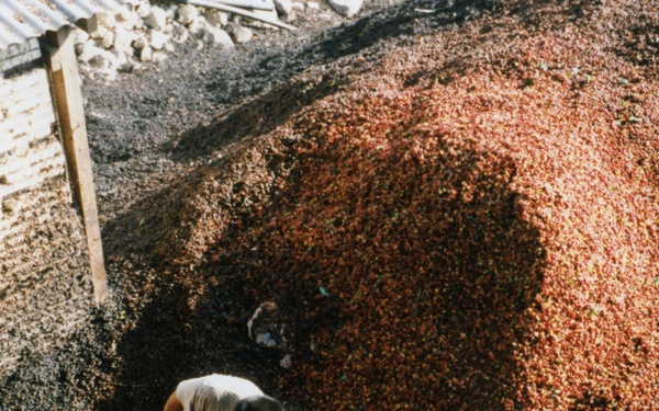 1999 INDONESIA PHOTOS