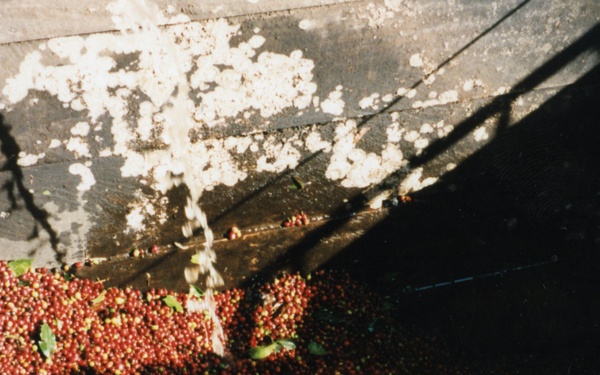 1999 INDONESIA PHOTOS