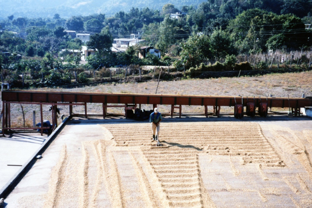 1999 INDONESIA PHOTOS