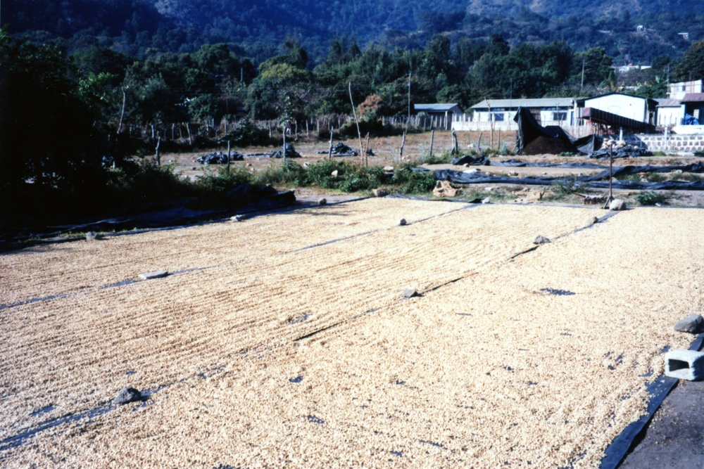 1999 INDONESIA PHOTOS