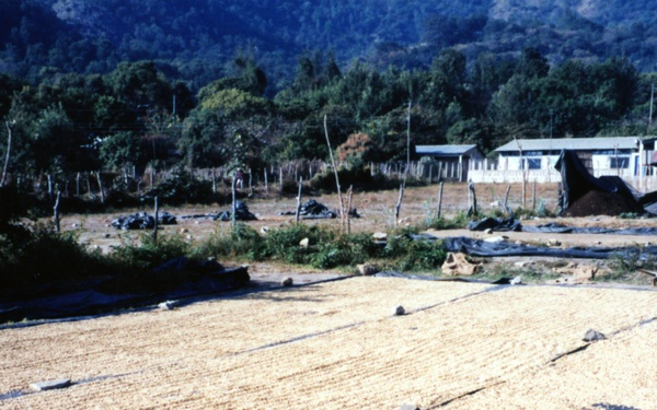 1999 INDONESIA PHOTOS