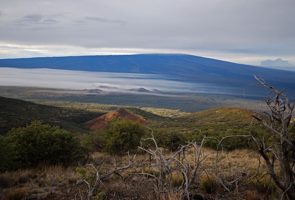 Pohakuloa Training Area Celebrates Earth Day