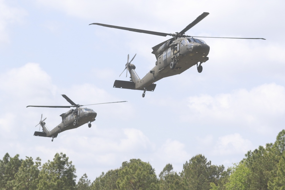 Landing UH-60 Black Hawks