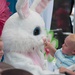 23rd Annual Fun Fest celebrates Easter, environment