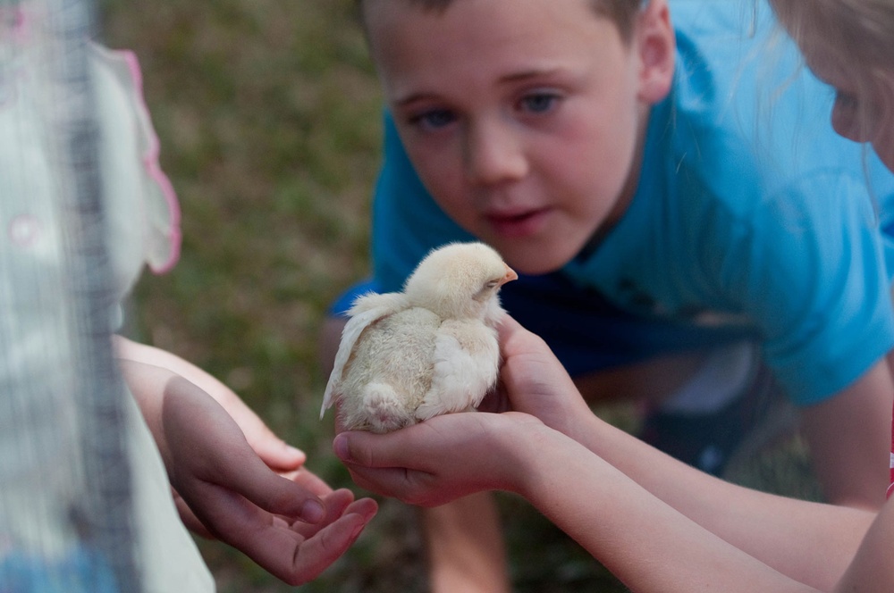 23rd Annual Fun Fest celebrates Easter, environment