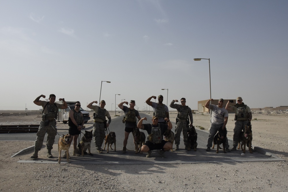 Emotions travel down leash; Honoring fallen MWDs and their handlers