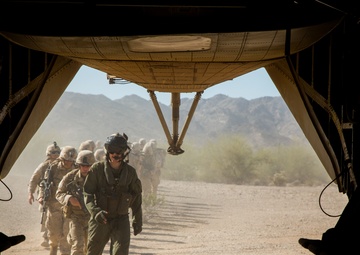 WTI Marine Transport Exercise with the 'Wolfpack'