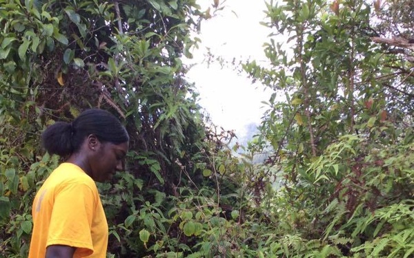 Kuli'ou'ou Ridge Trail Hike