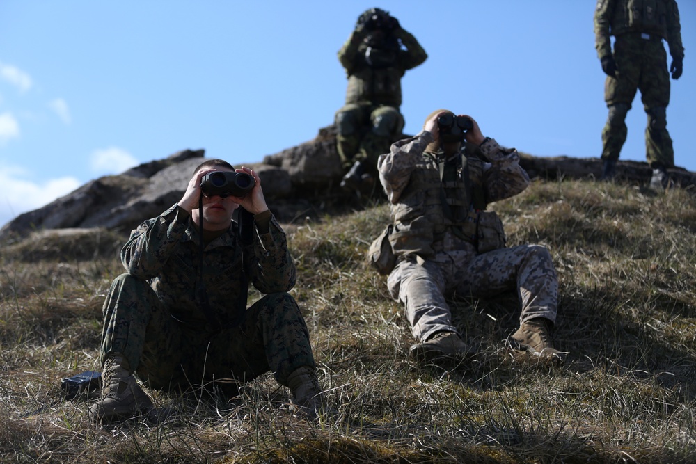 Summer Shield: Joint Fire Observer Exercise