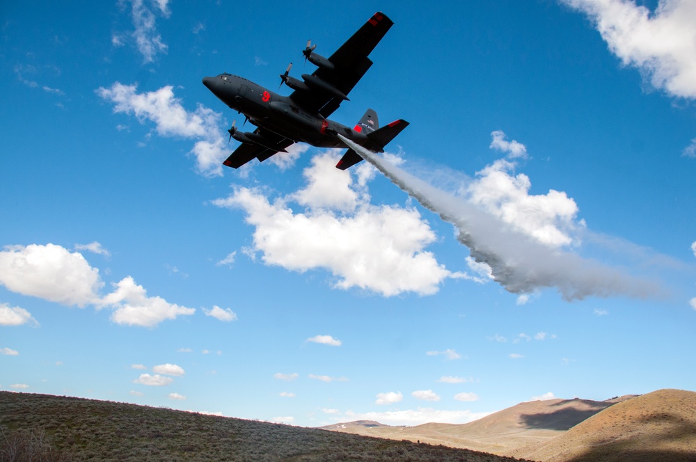 Guard, Reserve conduct annual aerial firefighting training