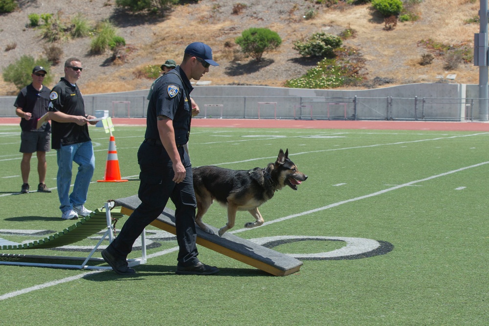 Police Department Canine Competition
