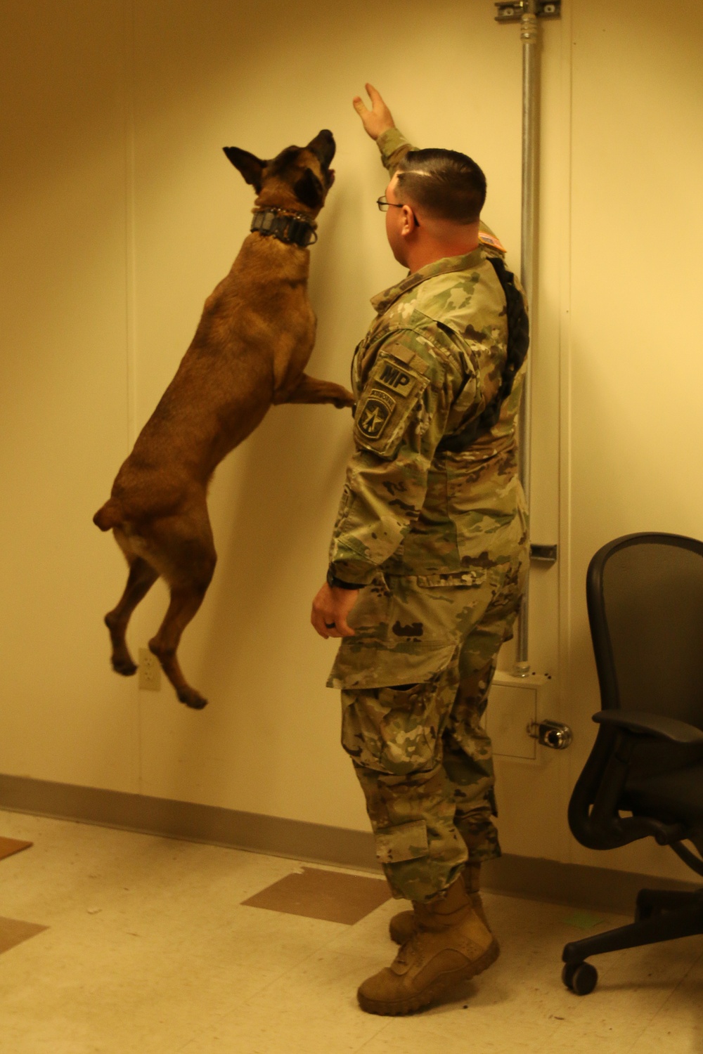 550th Military Working Dog Detachment: Ruff and Tough