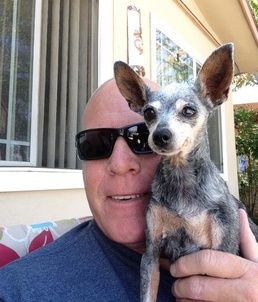 A Stray's Best Friend