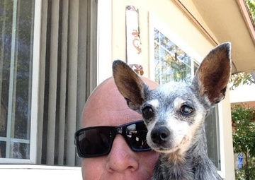 A stray's best friend