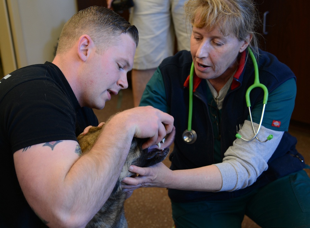 MWD handlers receive vet training
