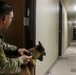 16th Military Police Brigade Goes To The Dogs