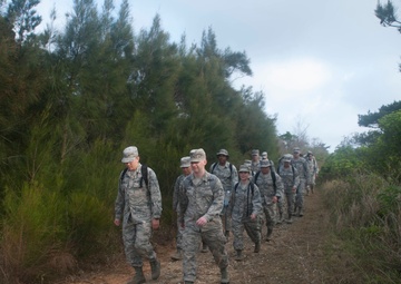 A little stroll through a lot of jungle