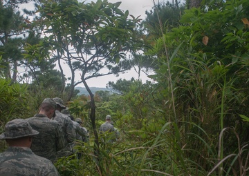 A little stroll through a lot of jungle