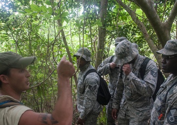 A little stroll through a lot of jungle
