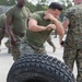 2017 2nd Assault Amphibian Battalion Gator Games