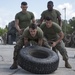2017 2nd Assault Amphibian Battalion Gator Games