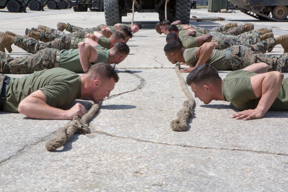 2017 2nd Assault Amphibian Battalion Gator Games