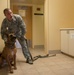 Military working dog: An Airman’s best friend