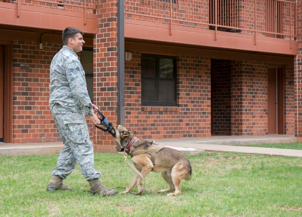 Military working dog: An Airman’s best friend