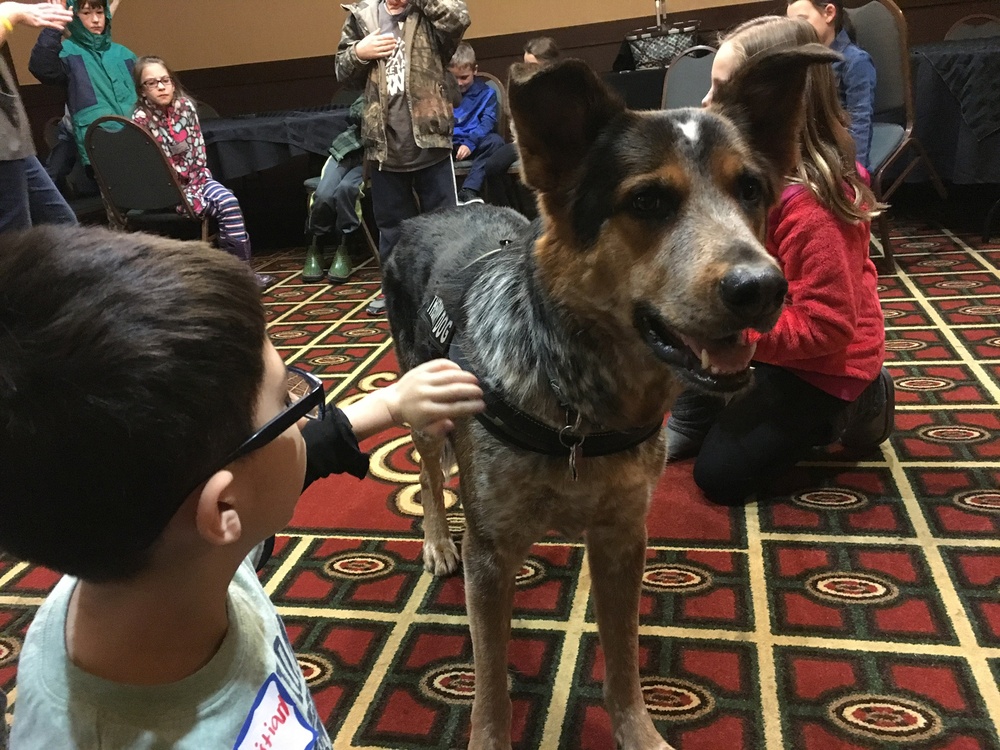 Therapy dog provides emotional support for military kids