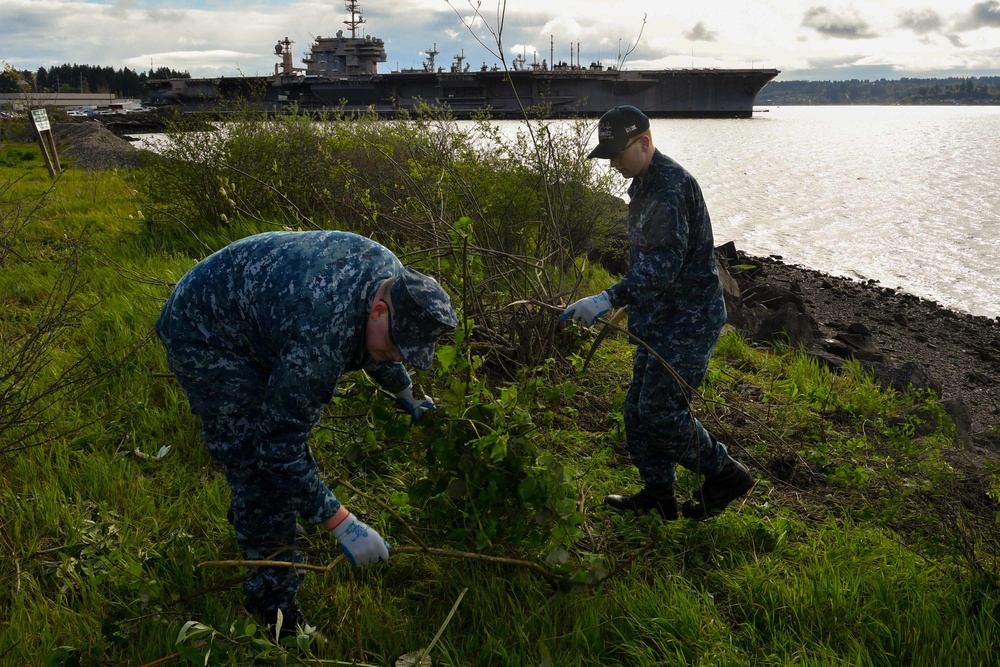 Nimitz Removes Invasive Vegetation from Sinclair Inlet Shoreline